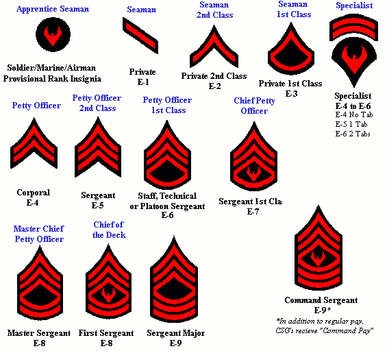 space force enlisted ranks