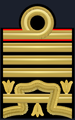 19 - Ammiraglio di Squadra con Incarichi Speciali.png