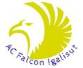 Ac falcon igalisut logo AI.jpg