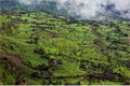 Ethiopian-Highlands-a22126117.jpg