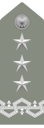 Generale di Corpo d'Armata.png