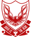 Juavi FC logo.png