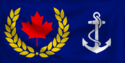 The flag of The Kobalt Islands