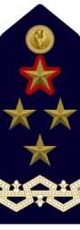 Luogotenente Generale CPR - Comandante Generale CPR.png
