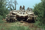 M60 panther.jpg