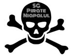 Sg pirate niapalul logo AI.jpg