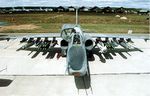 Su-39 NATO (russian designation Su-25TM) with optics mounted in nose, carrying 2x8 Vikhr AT or AA missiles, 2x5 S13 (130mm) ungided rockets and 1xKh-29 missile anti-bunker or anti-ship missile.jpg